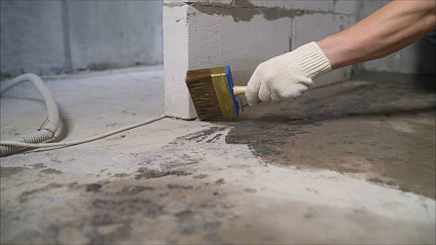 24/7 Emergency Crawl Space Encapsulation experts in Wilson, NY